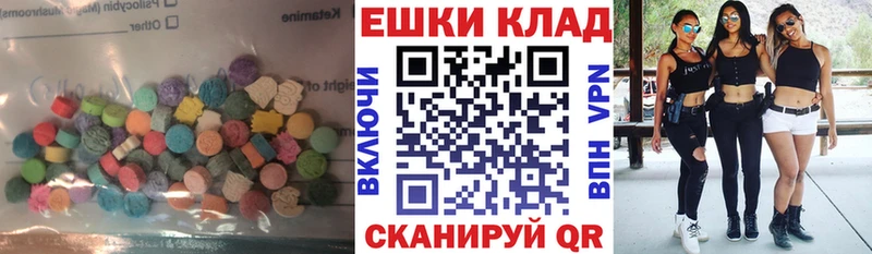 Купить закладки  Кирово-Чепецк  ЭКСТАЗИ Philipp Plein 