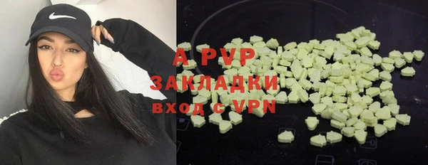 бошки Гусев