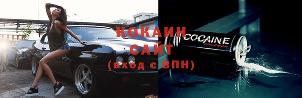 бошки Гусев