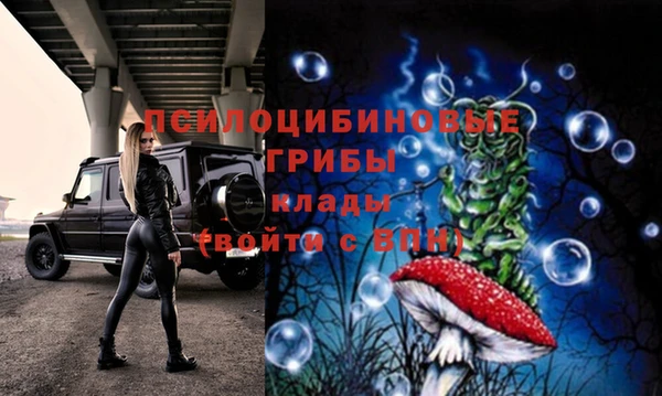 мескалин Гусиноозёрск