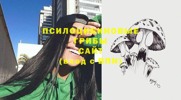 mix Гусь-Хрустальный