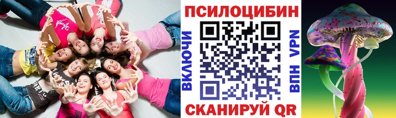 Галлюциногенные грибы Psilocybine cubensis  Купить  Кирово-Чепецк 
